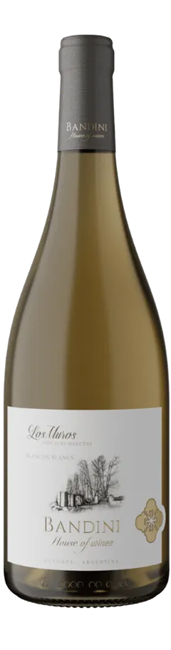 Los Muros Blanc de Blancs